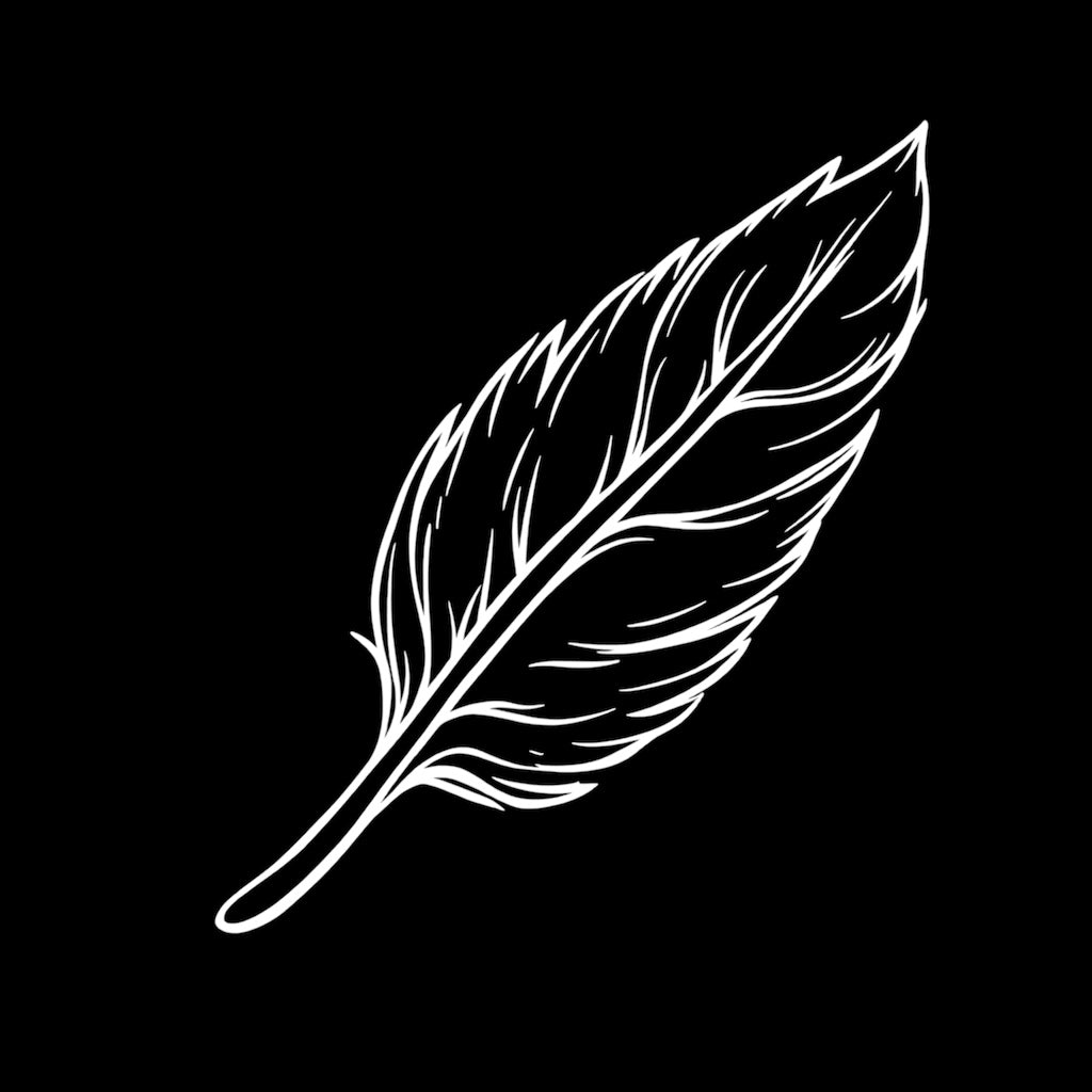 Icon 2